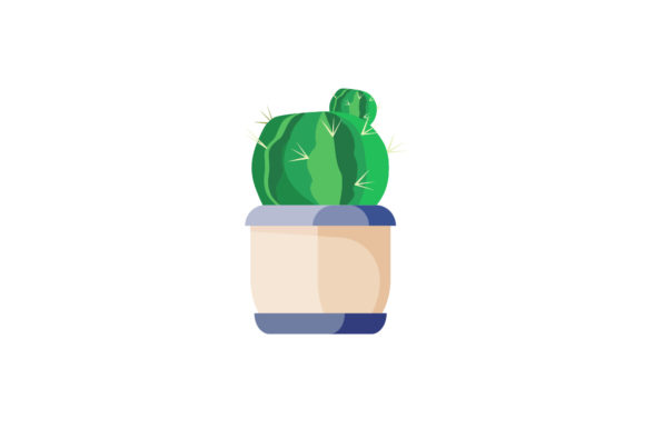 Discover the Versatility of Cactus Floral Design