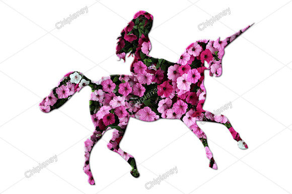 Unicorn Horse Animal Girl Flowers Floral